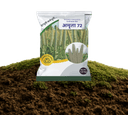 Amruta-72 Research Bajra Seeds view 1