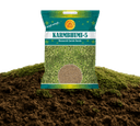 Karmbhumi-5 Research Cumin Seeds view 1