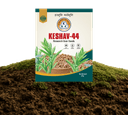 Keshav-44 Guar Seeds view 1