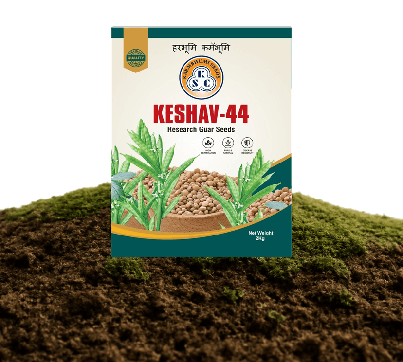 Keshav-44 Guar Seeds