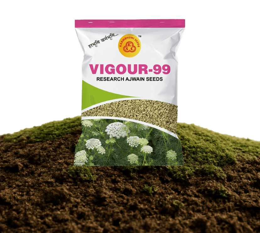 विगर-99 रिसर्च अजवाइन के बीज
