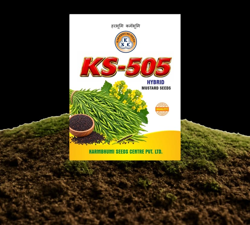 KS-505 बीज