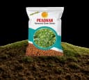 Pradhan Research Gram Seeds view 1