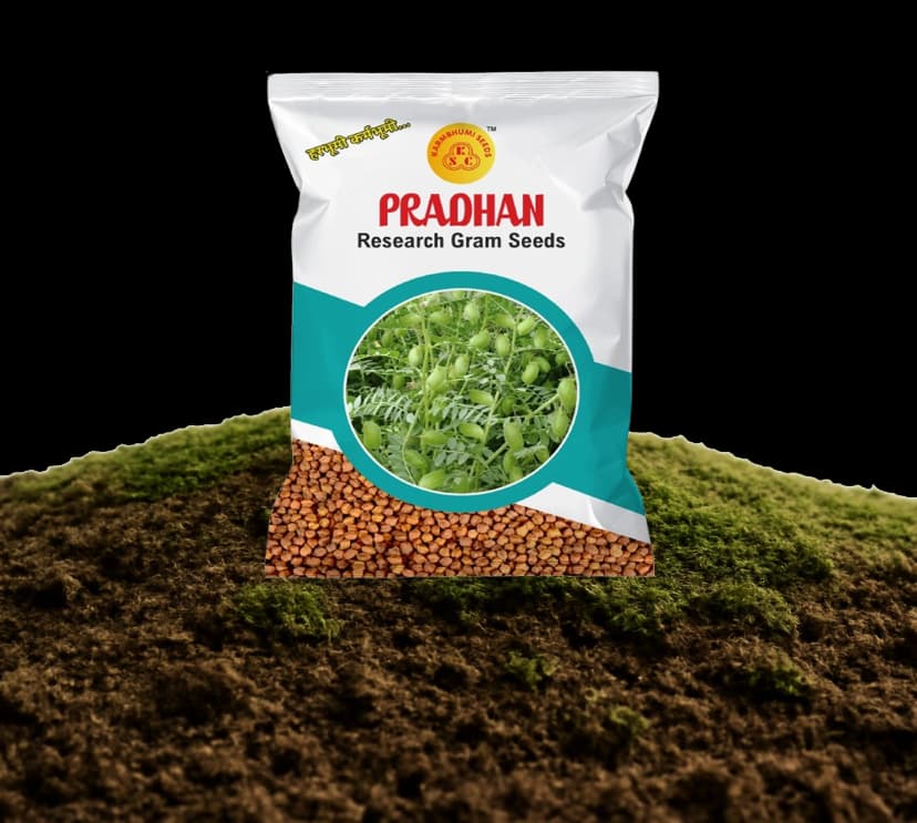 Pradhan Research Gram Seeds