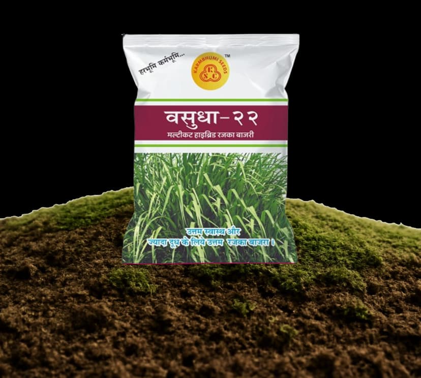 વસુધા-22 મલ્ટીકટ હાઇબ્રિડ બાજરી