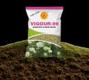 Vigour-99 Research Ajwain Seeds view 1